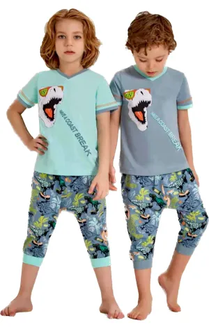 Dino Boys Forest Jammies