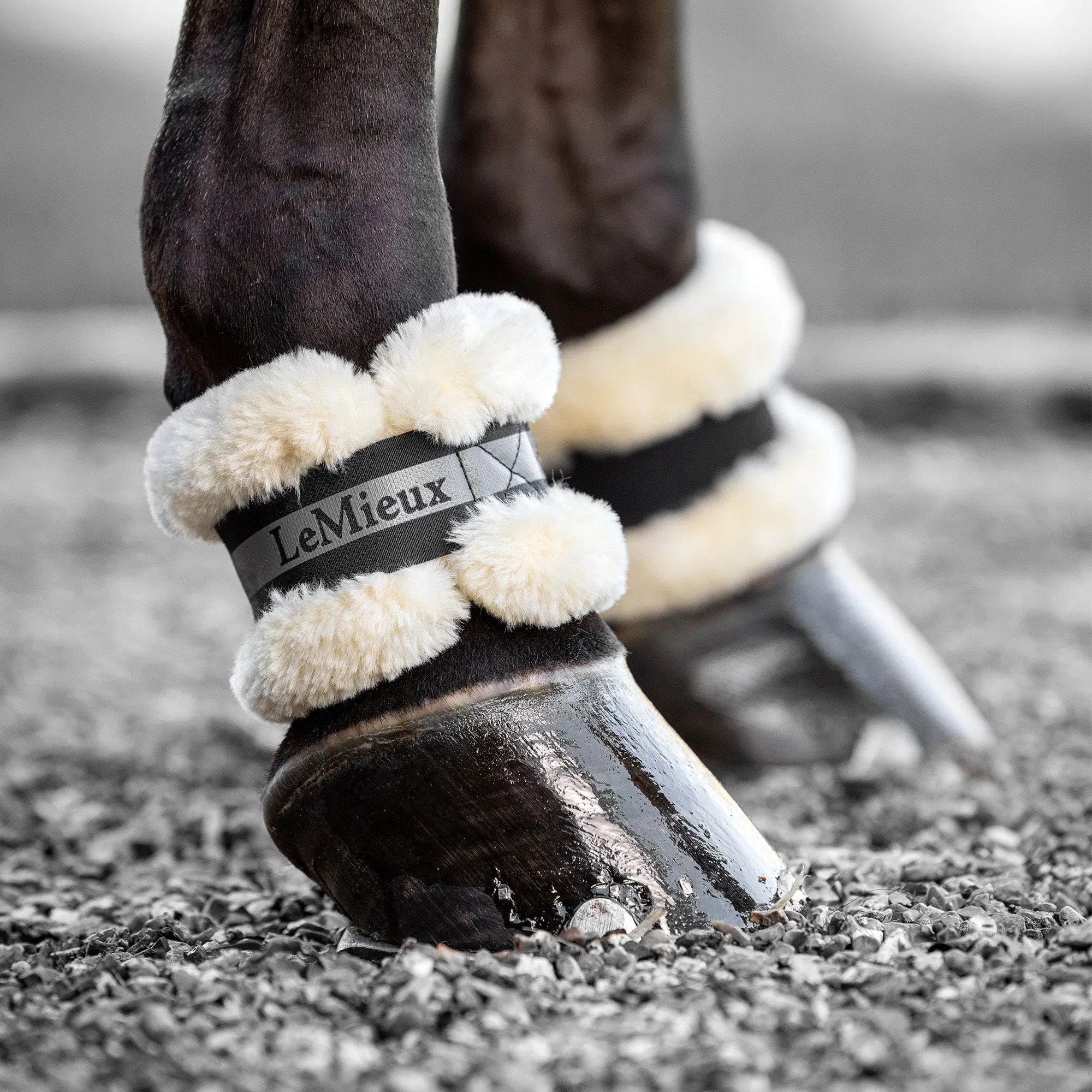 Lemieux Fleece Pastern Wrap