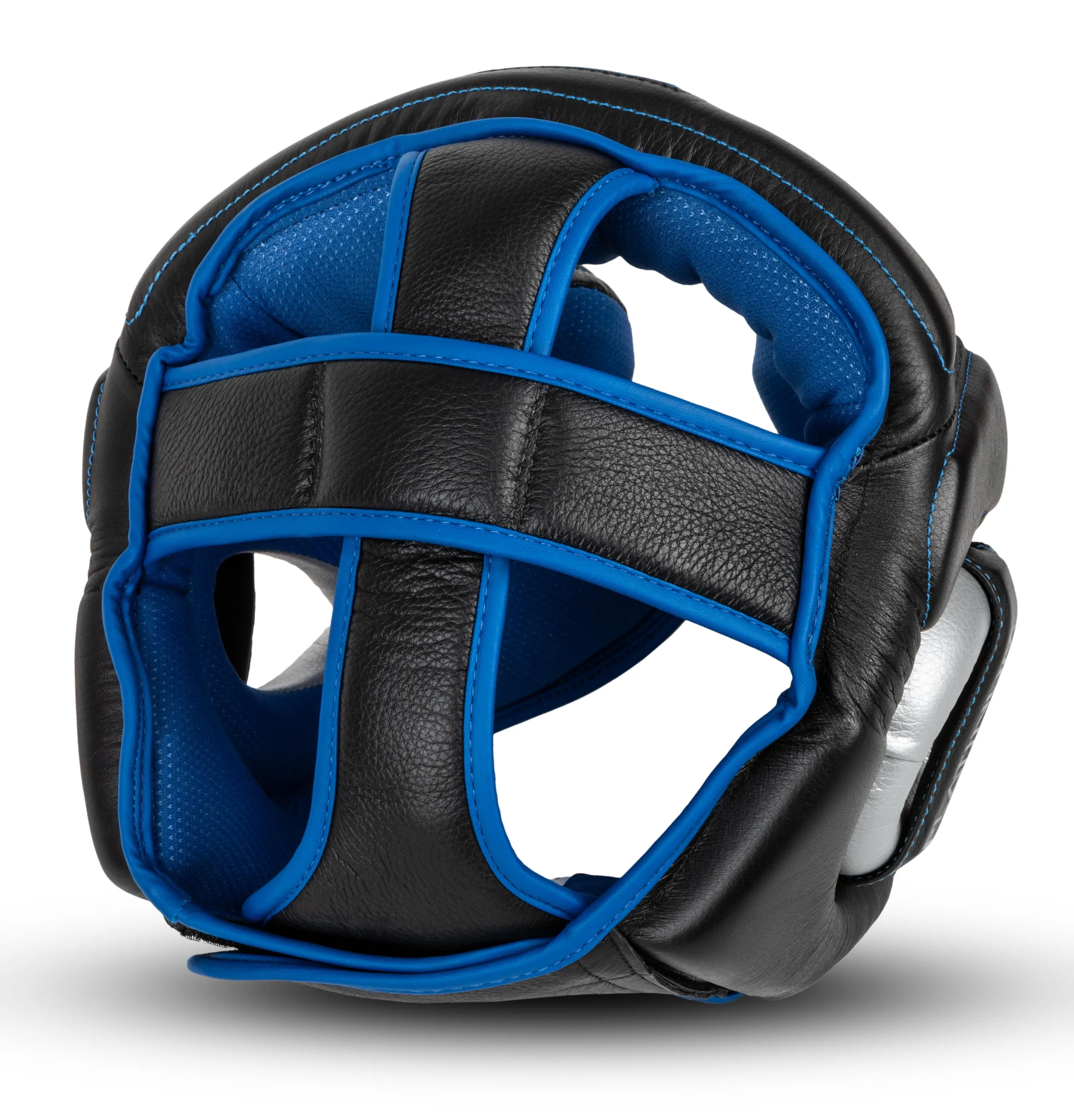 TITLE Platinum Perilous Training Headgear